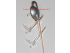 Red speedometer needles Mini R50 R53 BMW