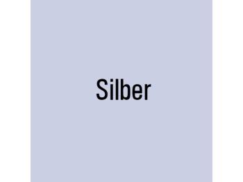 Farbe der Scheibe - Silber