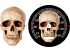Graphic - 4