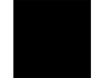 Color of the Disc -  Black
