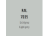 Color of the Disc - Light grey RAL 7035