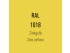 Color of the Disc - Zinc yellow RAL 1018