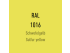 Color of the Disc - Sulfur yellow RAL 1016
