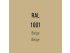 Color of the Disc - Beige RAL 1001